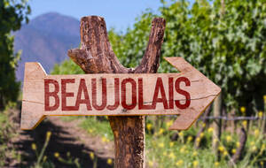 RANDO BEAUJOLAIS - JEUDI 20 NOVEMBRE